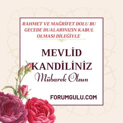 FORUMGÜLÜ.COM.png