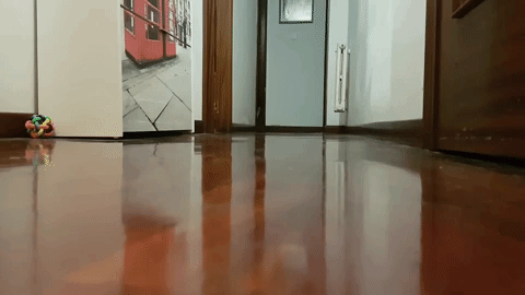 kedilihayatguzeldir4.gif
