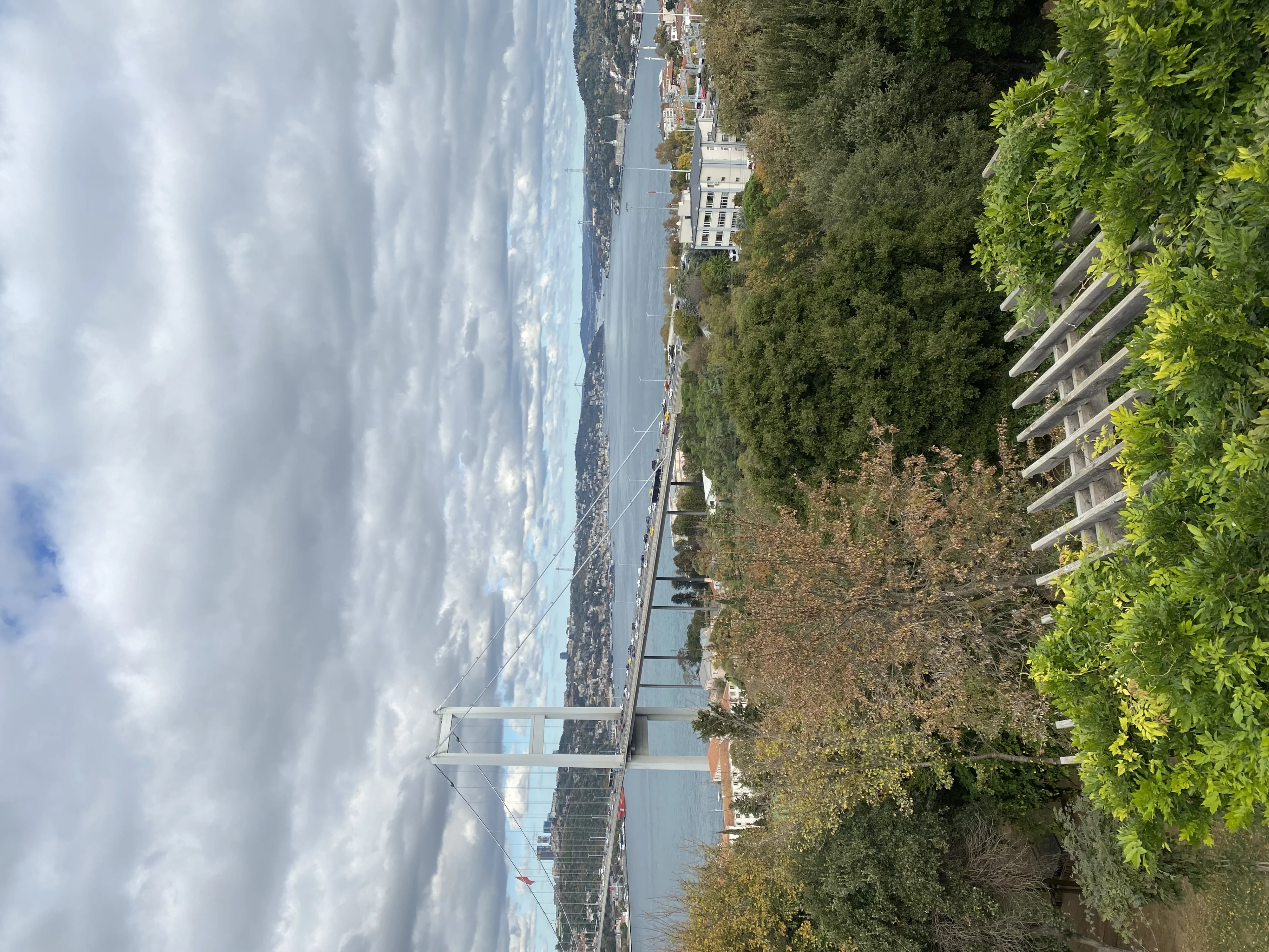 IMG_5916.jpeg