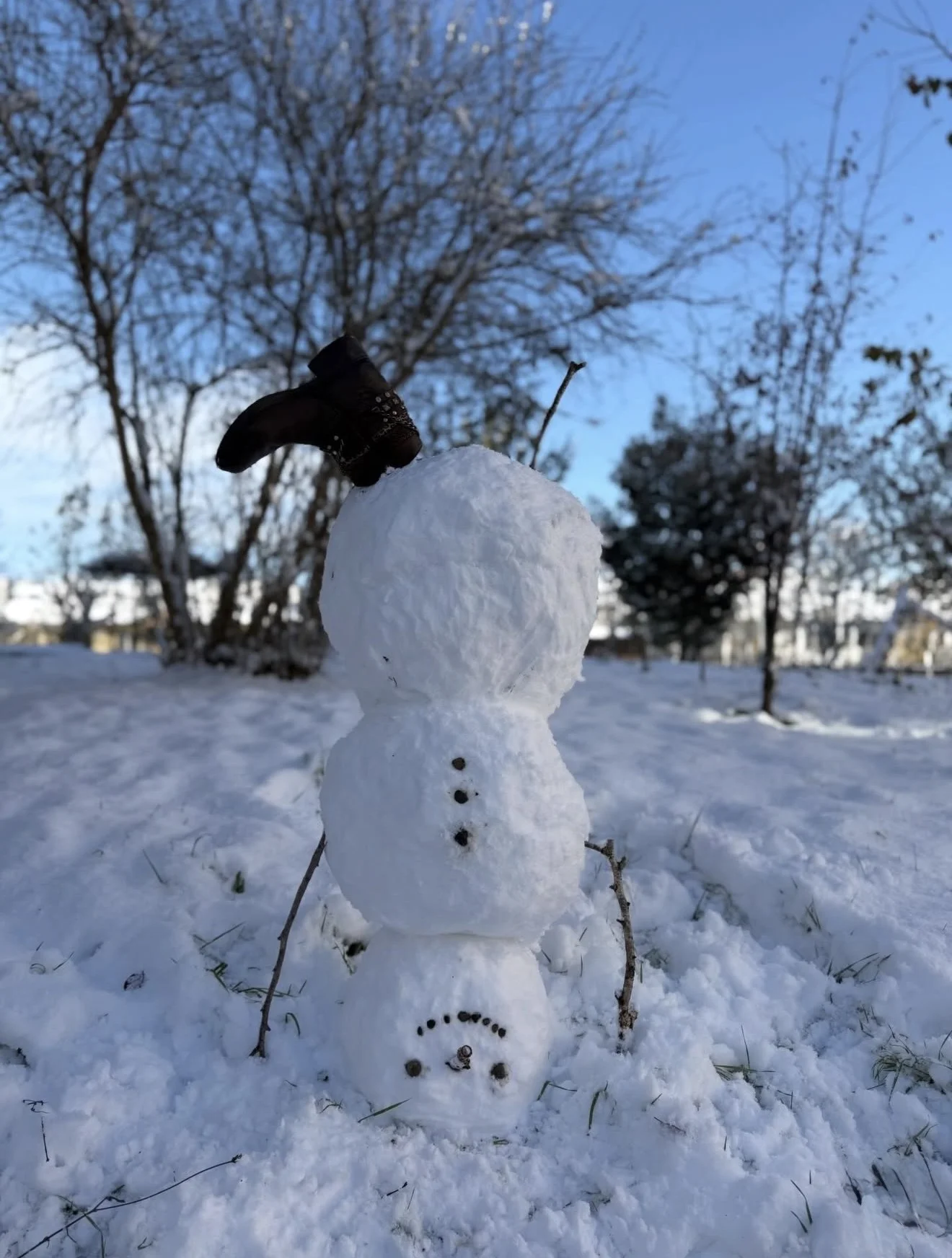 IMG_0152.jpeg