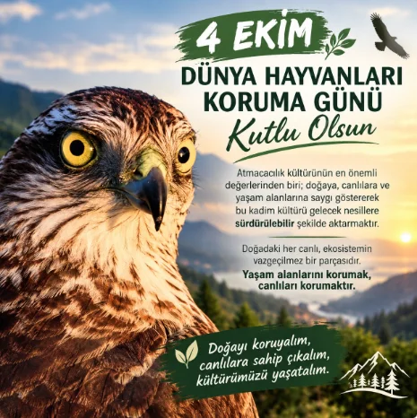 Adsız.png