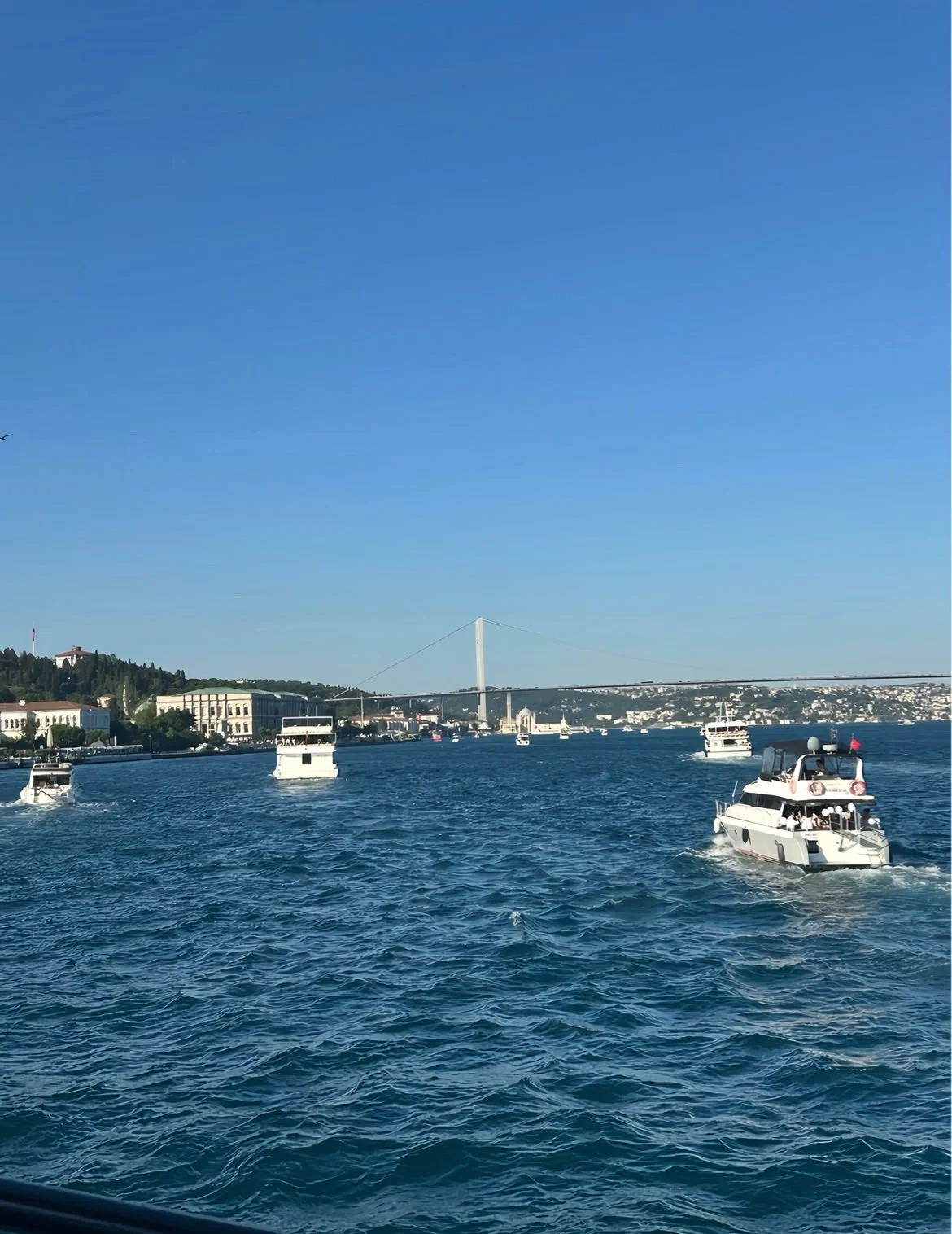 e5629117-81bf-45a3-b6b7-cbed0d05d177.jfif
