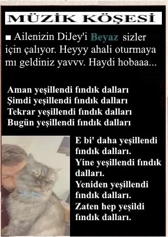 661a6e31-1aa7-4524-8c95-c31efb013ea4.jpeg