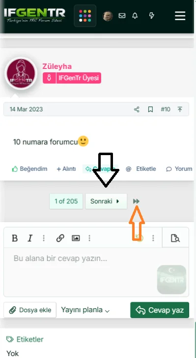 11.png