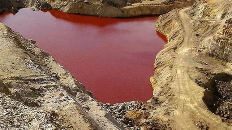 1290.jpg