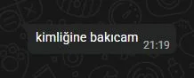 Ekran Alıntısı.JPG