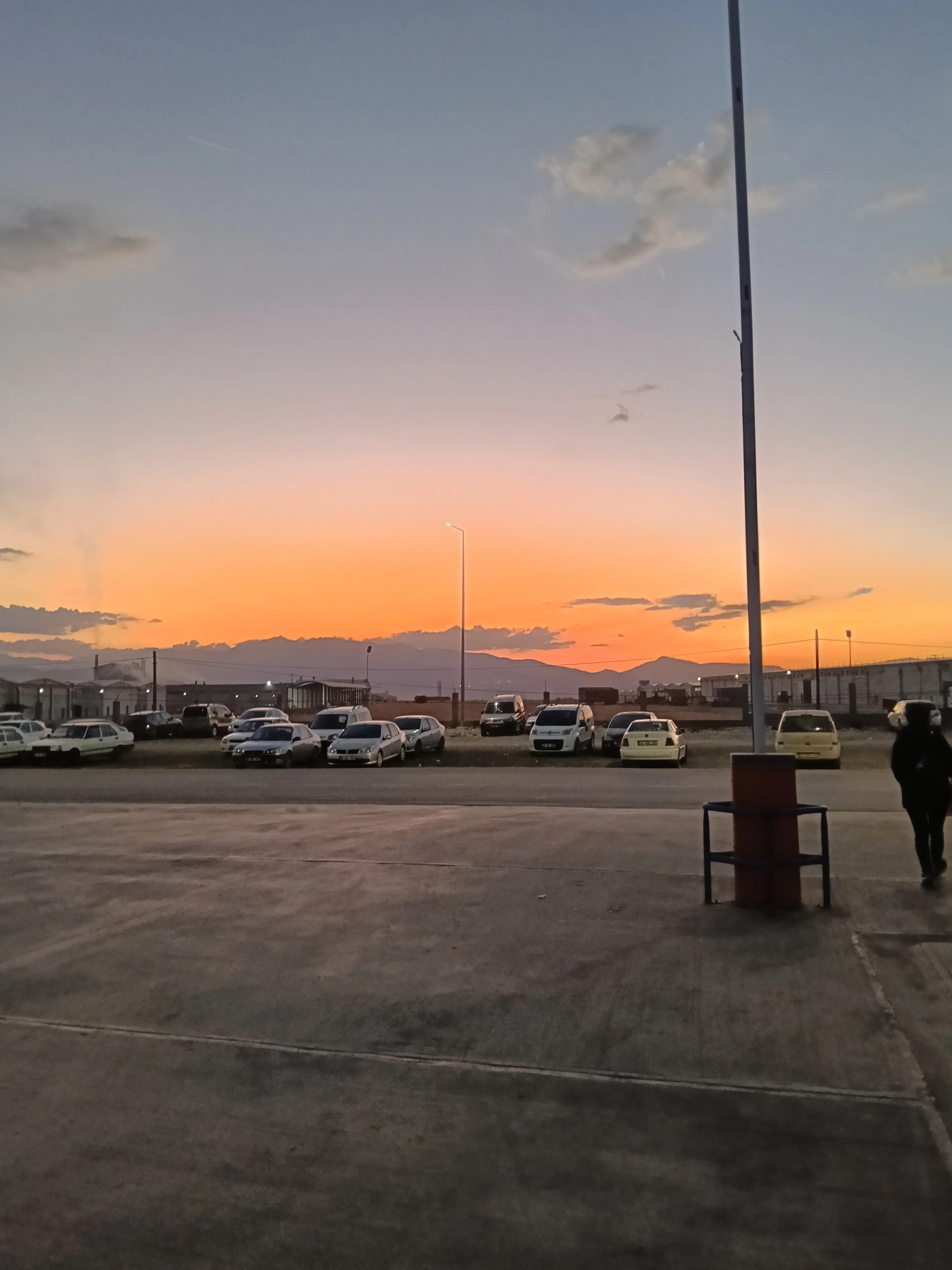 3453.jpg