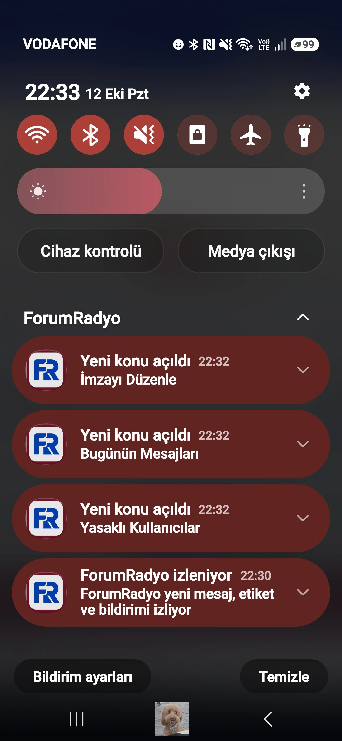 134211.jpg
