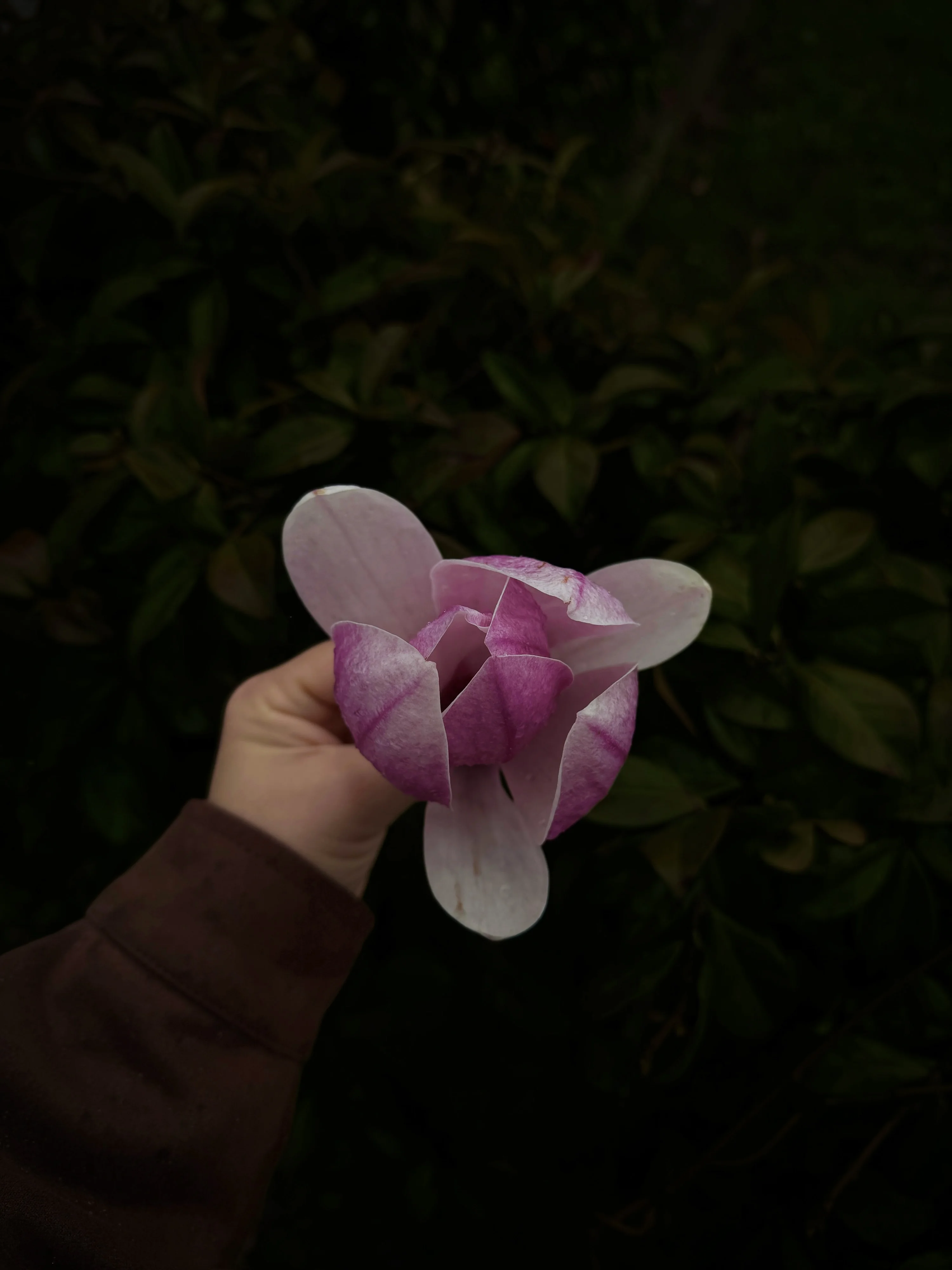 84E036A3-B089-43BF-B38F-D0DDC41A7D82.jpeg