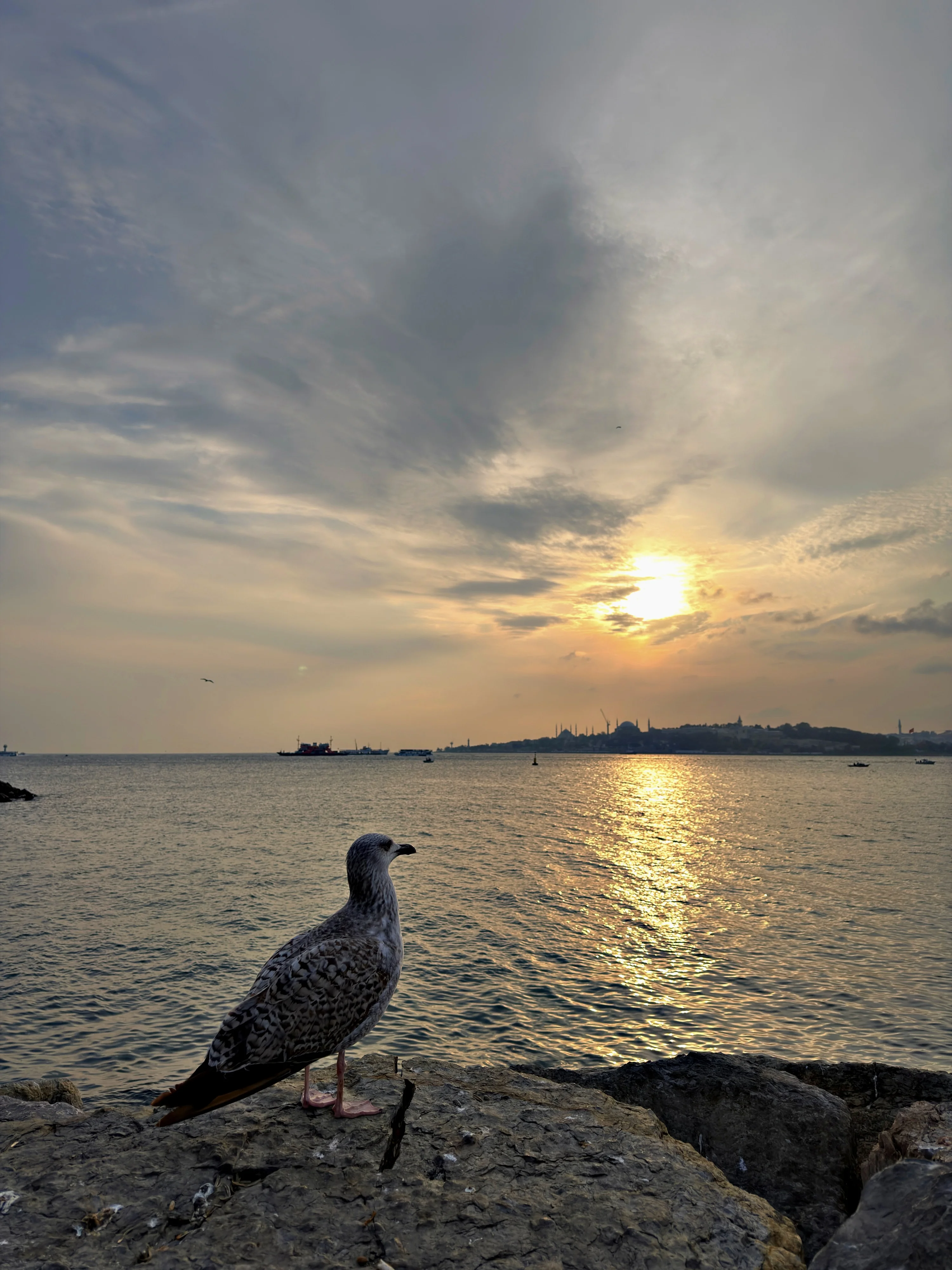 D796B3FD-A6F5-42EE-AB30-0ECC92B9C16E.jpeg